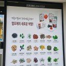 씨유청주내덕신화점 | 청주 천연염색 찐 잘하는 미용실 세이프존 내덕점 리얼 후기!
