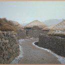 비자나무아래집 이미지