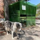 사담관광농원캠핑 이미지