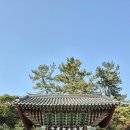 백련사 2025.12.02