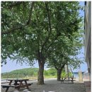 꽃지늘봄펜션 이미지