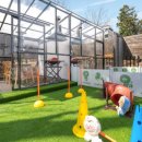 강릉댕댕이애견펜션블루 이미지