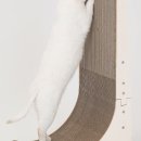 멍냥이노리터 이미지