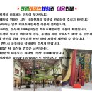 보현산댐 별빛전망대 이미지