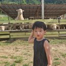 호영목장 이미지