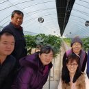 김일농장 이미지