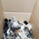 청계유통 이미지