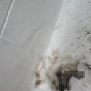 성동노래연습장 이미지