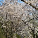 선포약수터 이미지