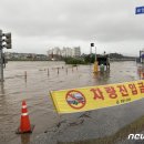 남대천둔치주차장 이미지