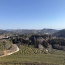 대한다원화장실 | 보성 대한다원 겨울 녹차밭 힐링 데이트 추천