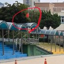 서울청파초등학교 이미지