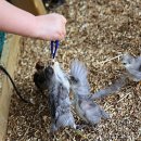 화성사슴농장 이미지