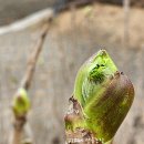 마리네 농장 이미지