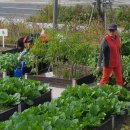 경춘선 자전거도로1 이미지