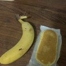 씨오아이 서울지점 | 2025 JTBC 서울마라톤 후기