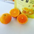 강정올레농수산