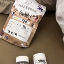 더프라임동물의료원 이미지