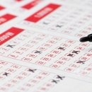 고불로 51 이미지