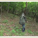 대부개발(주) 이미지