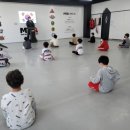 경희대 효 태권도 이미지