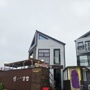 제주 이순신김밥 솔직후기 주방 강아지 위생과 대기 시간 아쉬웠던 점