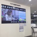 내강아지&내야옹이 이미지