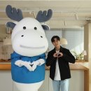 (주)볼보자동차코리아 브런치