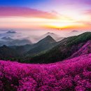 천주산 만남의 광장 이미지