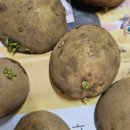 일화농장 이미지