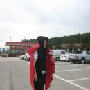 대관령목장 이미지