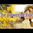 The Power Of Love 사랑의 힘 / Celin Dion 셀린 디온 이미지