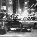 신화미디어 이미지