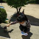 정덕초등학교 이미지