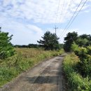 뉴해송펜션 이미지