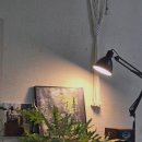 못티 이미지