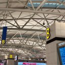 공차 인천국제공항6호점 | 상하이 1일차🗼임시정부, 신천지, 티엔즈팡, 외탄, 중국 편의점