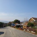 풍차랑 허브랑 이미지