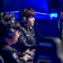 렉스파크 이미지