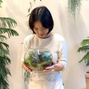 피에스아트기획