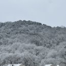 솔빛유치원 이미지