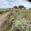 [생태탐방] 소래포구 이미지