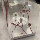 정부부치과의원 | 🎂 원장님 생신부터 팀장님 축하 파티까지, 경사가 겹친 서울부부치과의 행복한 하루 😎