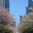 마린시티2로 | 부산웨딩관리 해운대구 미엘르에스테틱 팔뚝슬리밍후기