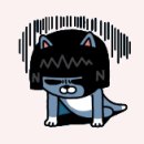 바로(BARO) 이미지
