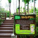 정왕본동청사 이미지