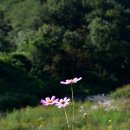 대안마을 이미지