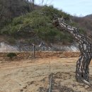 느티나무농장 이미지