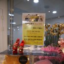 인형속으로 | 양산미용실 증산미용실 더모스트헤어 클리닉받았어요