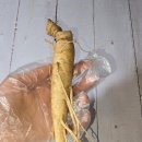 미르인삼사